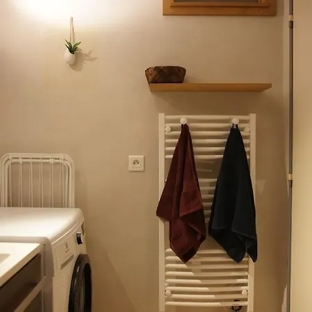 Nid Douillet Musee D'art Moderne - Petite France שטרסבורג