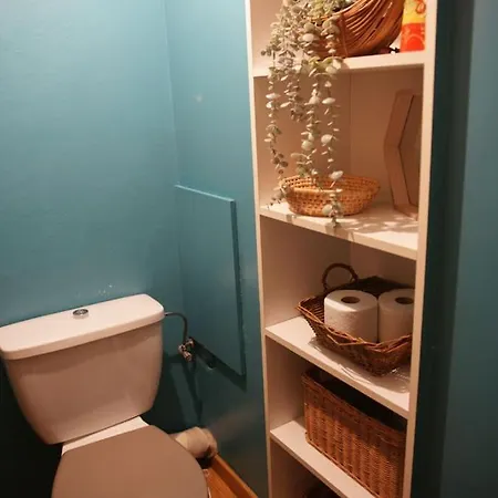 Nid Douillet Musee D'art Moderne - Petite France דירה שטרסבורג