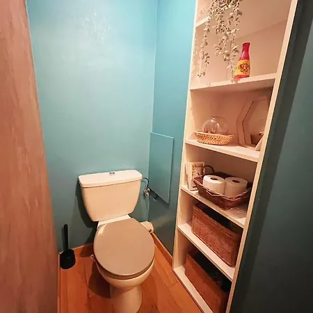 Nid Douillet Musee D'art Moderne - Petite France שטרסבורג