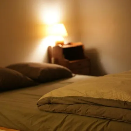 Nid Douillet Musee D'art Moderne - Petite France * שטרסבורג