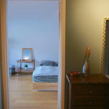 Nid Douillet Musee D'art Moderne - Petite France דירה